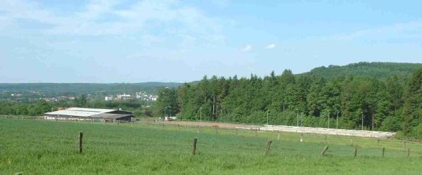 Blick auf Reithalle (20 x 40 m) mit Stallungen (23 Boxen) und Außenplätze